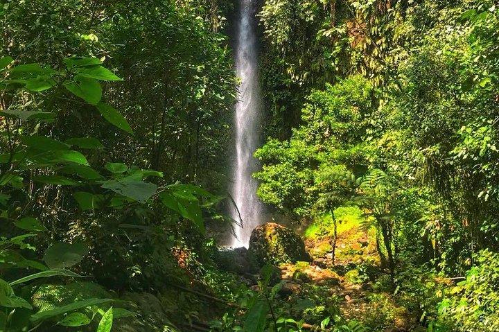 エクアドルのAmazonツアー:BañosからのPuyo Day Trip