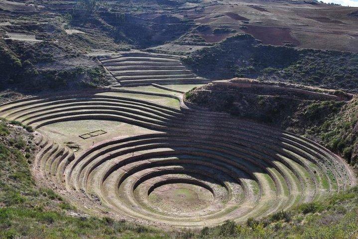 Maras Moray