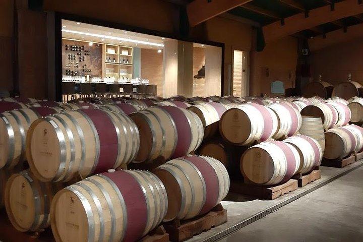 Visite privée de 3 jours de Santiago City & Casablanca Valley Wine Tour