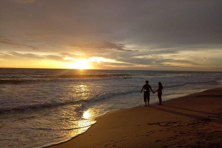 Tour privado de 8 días por Sri Lanka con vehículo con aire acondicionado