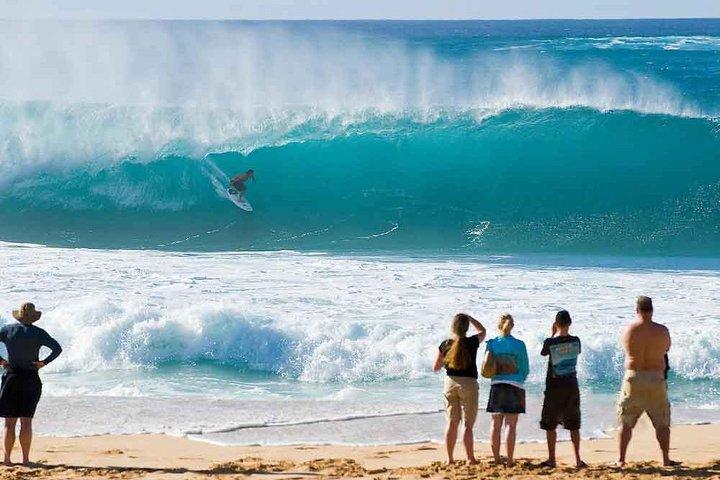 オアフ島：ワイメアの滝付きノースショアツアー