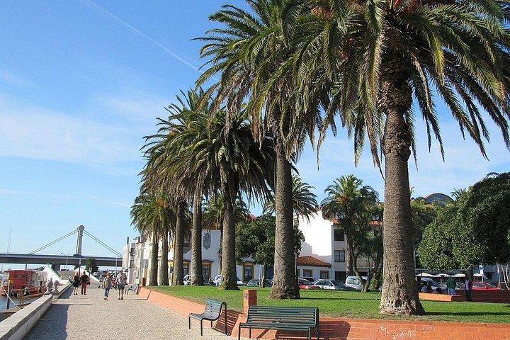 Visite privée d'une demi-journée à Aveiro et Costa Nova