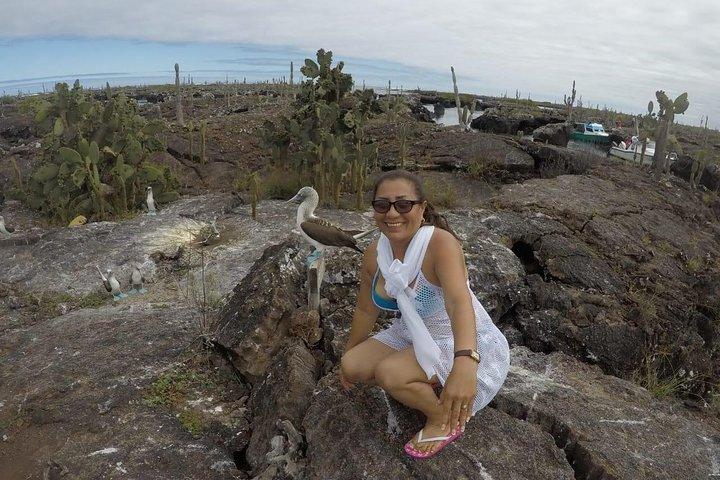7-daagse Galápagos natuurtour: Ontdek Santa Cruz & Isabela eilanden