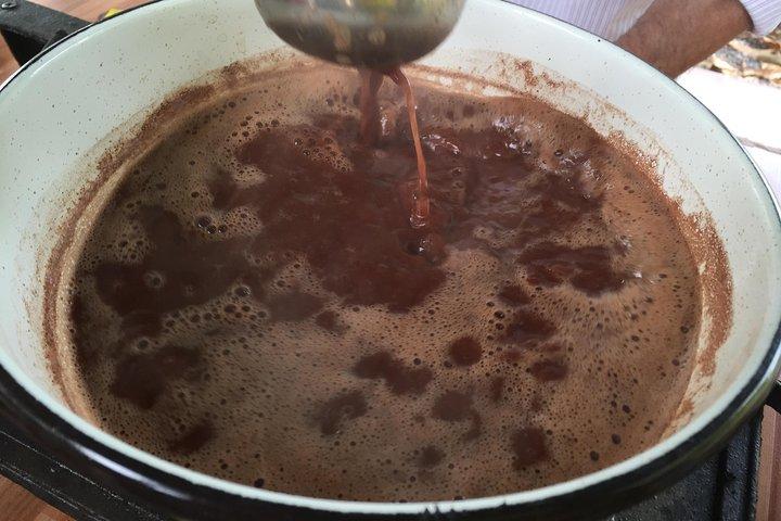 ココアファームとチョコレート作り！