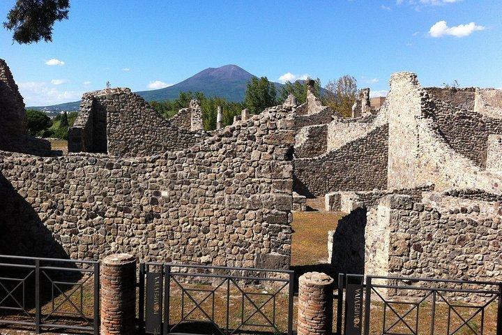 Pompeii - Private Historic Walking Tour