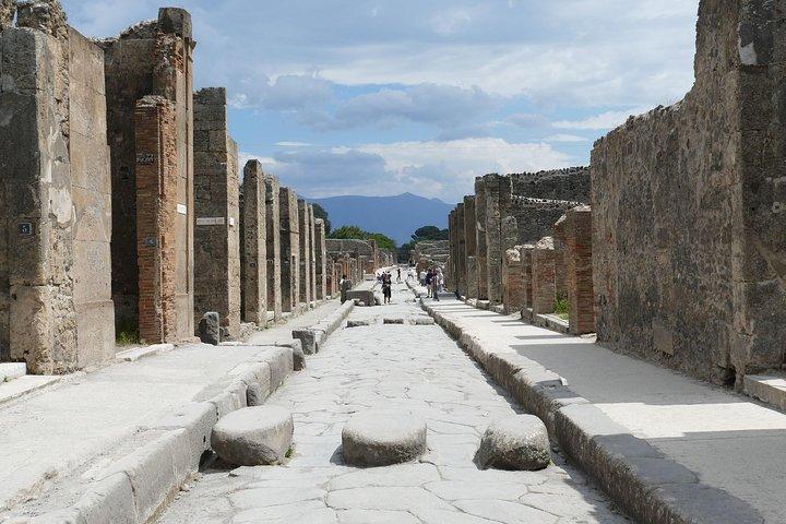 Pompeii - Private Historic Walking Tour