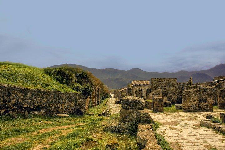 Pompeii - Private Historic Walking Tour