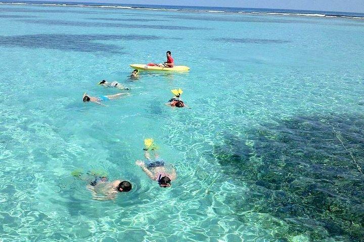 Roatan Parasailing, Reef Snorkel & Beach Combo