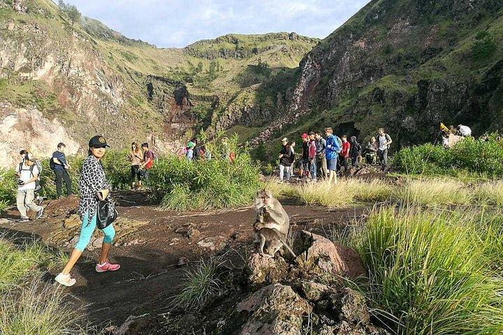 プライベートツアーでめぐる火山のバトゥール山トレッキング。天然温泉付き。日帰り。