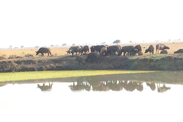 Dagtocht van Zanzibar naar Mikumi