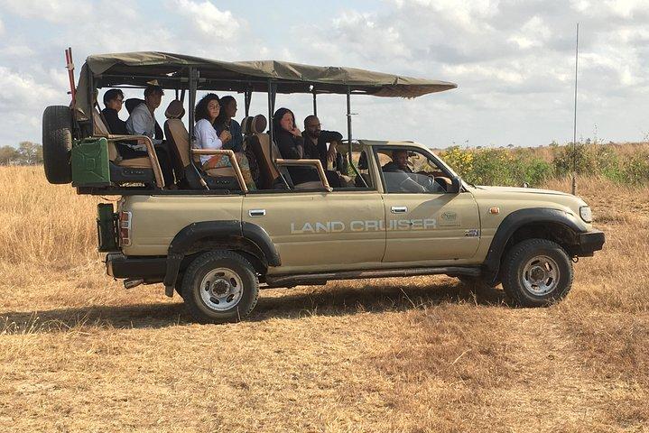 Dagtocht van Zanzibar naar Mikumi