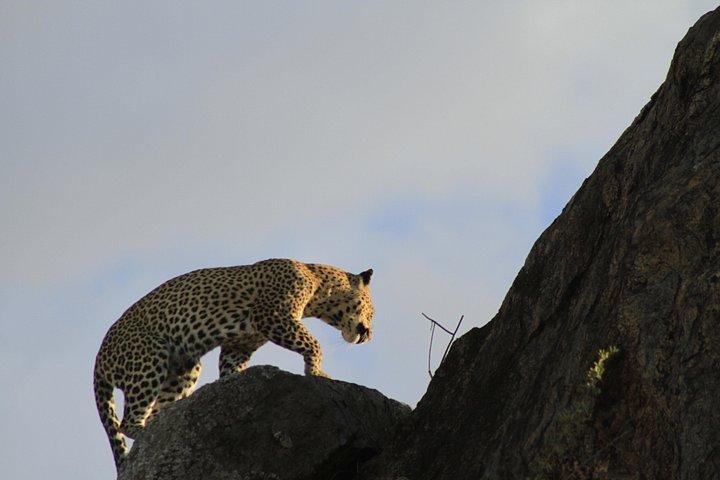 8 Days 7 Nights Private Lodge Safari