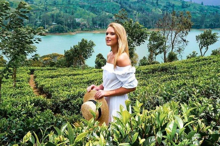 Kandy naar Nuwara Eliya Dagtour