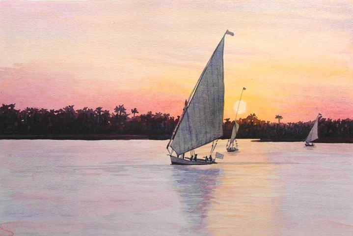 Tour privado de un día completo: a Aswan desde Luxor