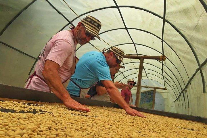Private Guatape & Coffee Farm Tour: The Two Must do in One Day