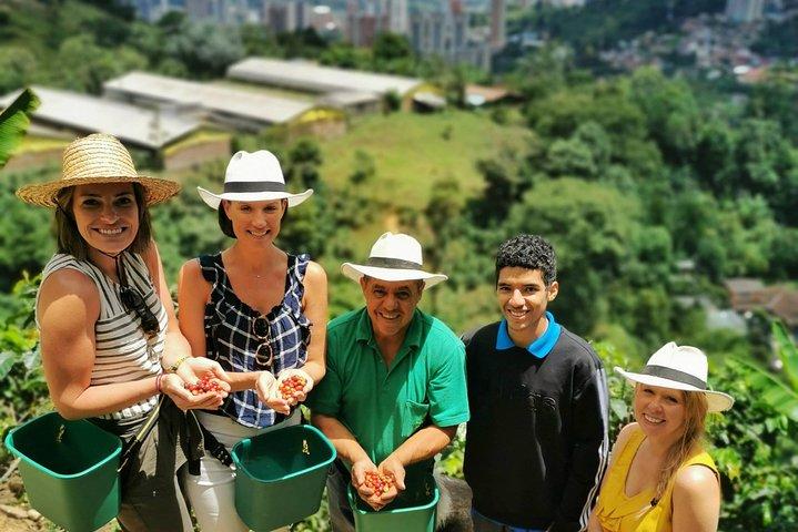 Private Kaffeefarm Tour in Medellin : Echte authentische Erfahrung