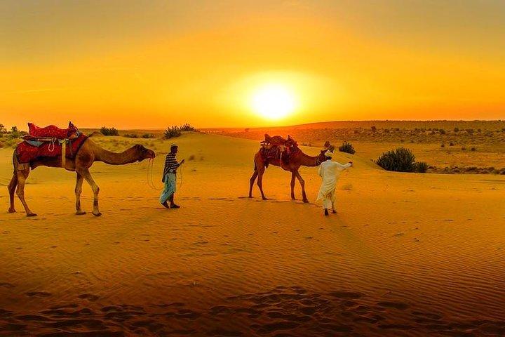 Marrakech-dagstur: Agafayöknen, Atlasbergen och kamelridning