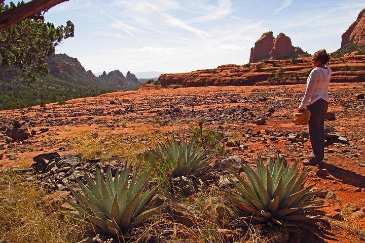 Whole-Day Sedona Vortex Experience