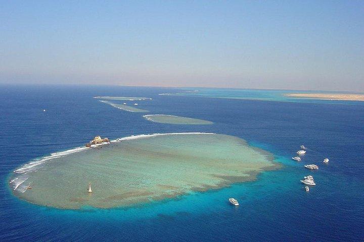 Viagem de Sorkeling à Ilha Branca e Ras Mohammed