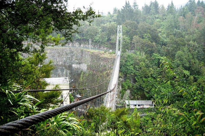 Rotorua et Waitomo