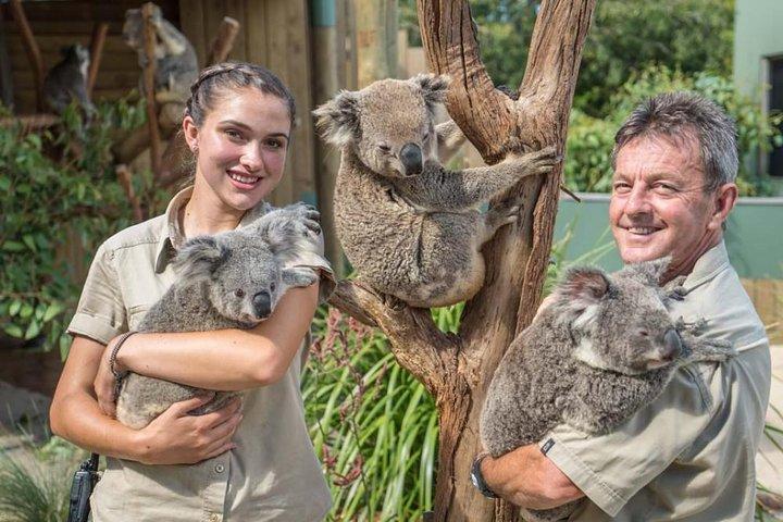 Wildlife, Wine & Waves – Episches Südküstenabenteuer ab Sydney