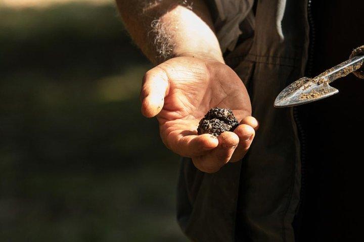 Truffeljacht op het platteland van Siena