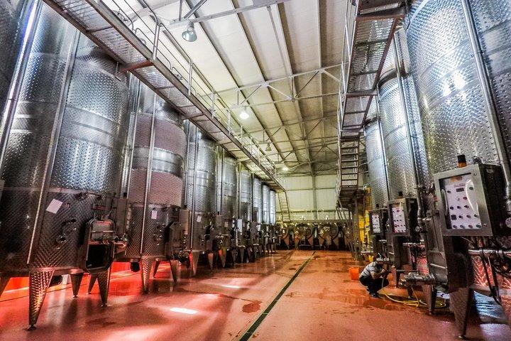 Weinprobe in Aserbaidschan (Savalan ASPI)