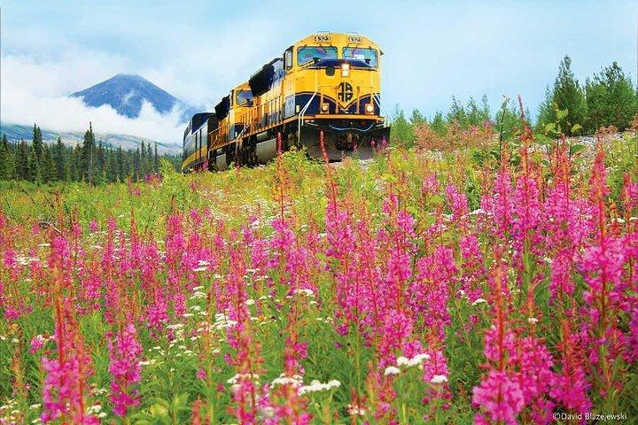 Alaska Railroad Anchorage til Seward Round-Trip samme dag tilbage