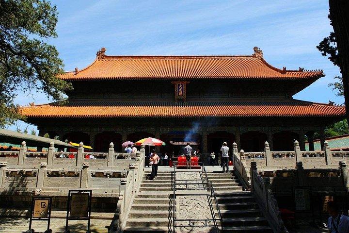 Confucius-tempeldagtour in Qufu start vanuit Qufu bullet train station of stad