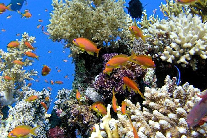 マウイ島マケナ タートル タウン エコ アドベンチャー