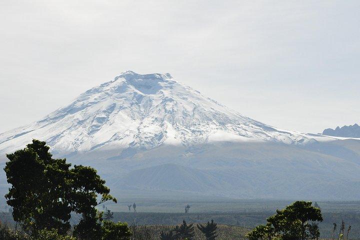 Tour de día completo Cotopaxi - Todo incluido - Caminata guiada y entrada al Parque Nacional