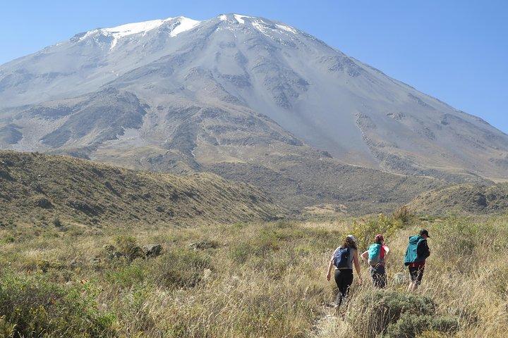 Halvdagstur til Volcan Misti