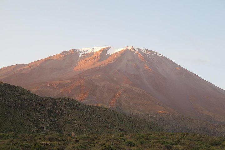 Halvdagstur til Volcan Misti