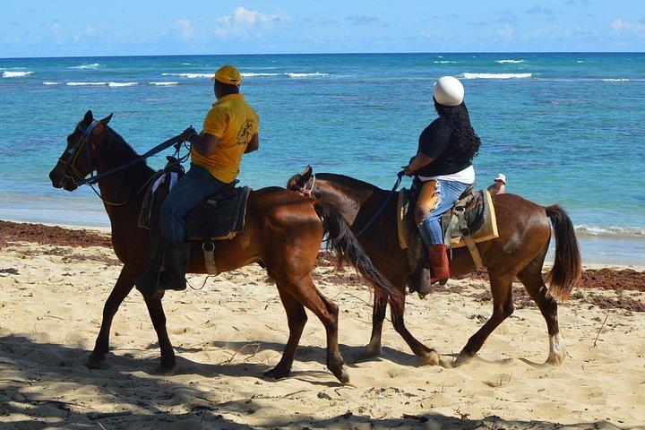 ビーチでの乗馬ツアーアドベンチャー