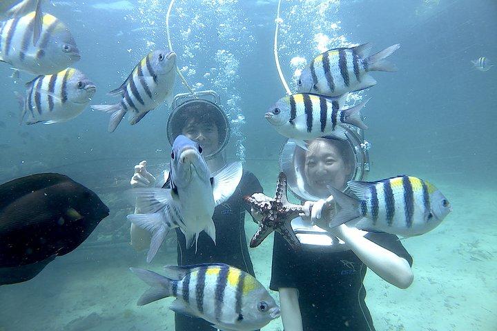 Bali Seawalker