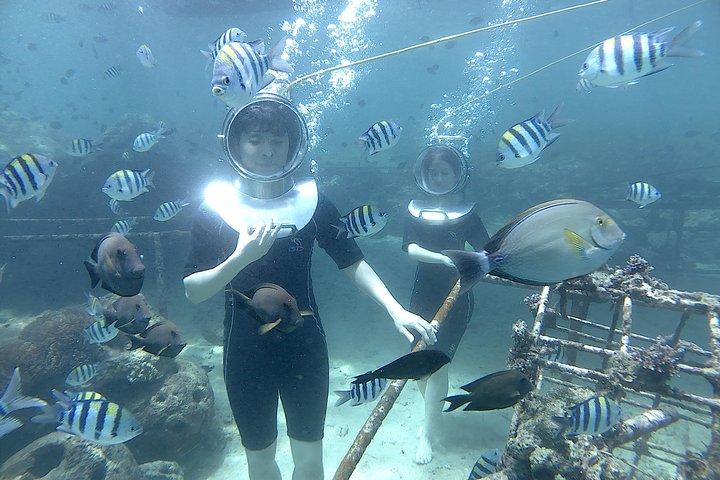 Bali Seawalker