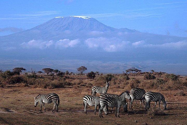 3 giorni Amboseli, terra del Kilimangiaro