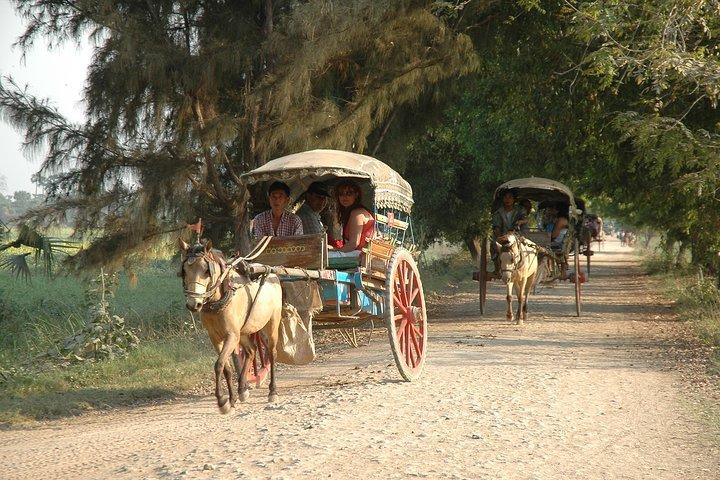 Private Day Adventure Trip in Bagan