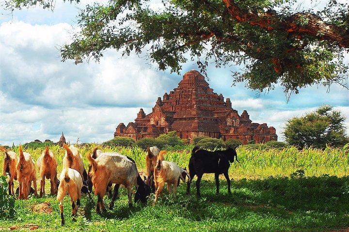 Private Day Adventure Trip in Bagan