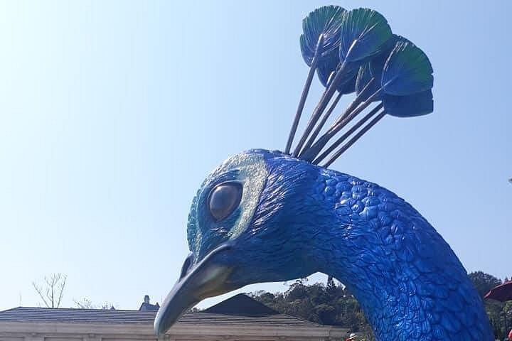 Bana Hills - Golden Hands Bridge Private Tour