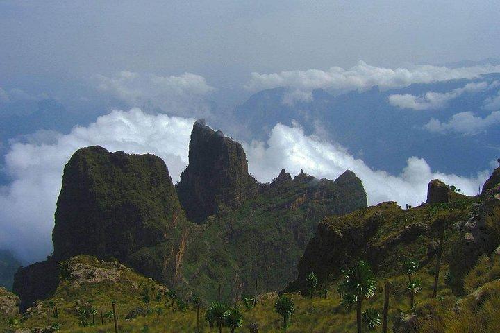 3-daagse Bale Mountains Trekking