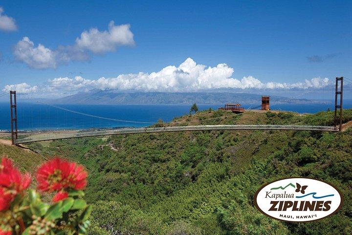 6 Dobbelt Zipline Bjernerneventyr på Maui