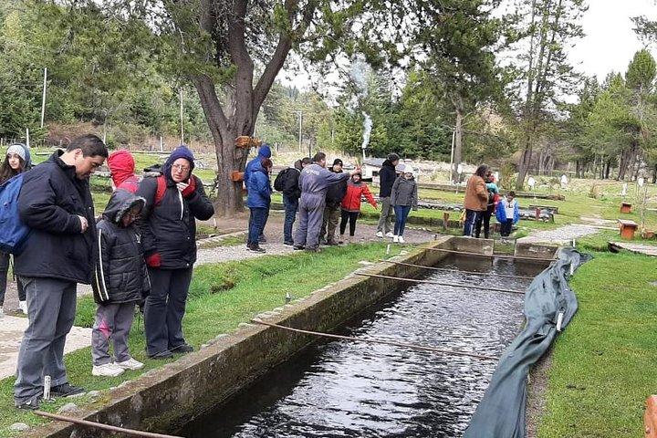El Bolson en Puelo Lake