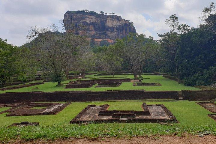 Visites sur la faune de 12 jours au Sri Lanka avec chauffeur, voiture ou fourgonnette et hébergement