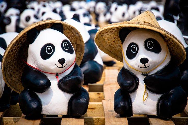 Tour di un giorno privato: Dujiangyan Panda Base and Irrigation Project