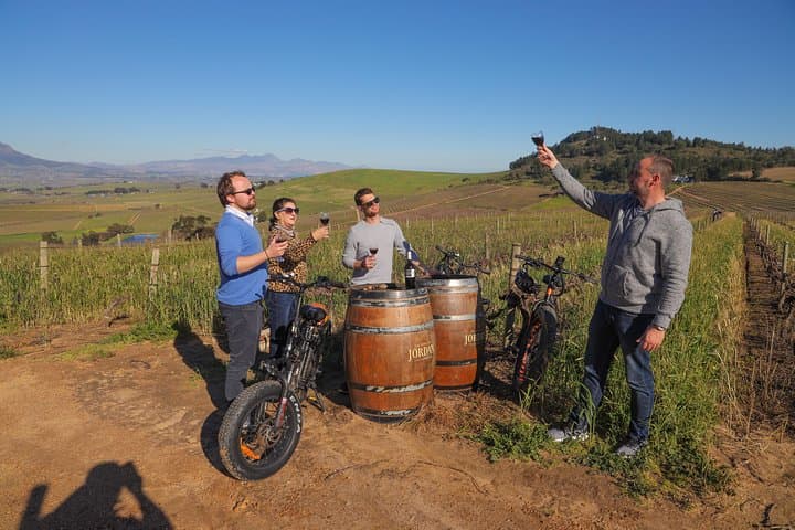 From Cape Town: Full Day Electric Bike Winelands Tour & Lunch