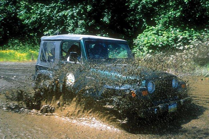 Ketchikan Jeep og Kano Safari