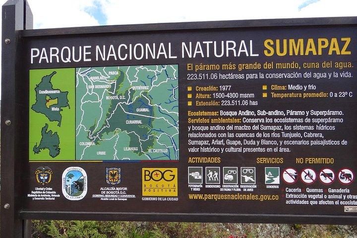 Birdwatching, Nature & photography in Sumapaz National Park