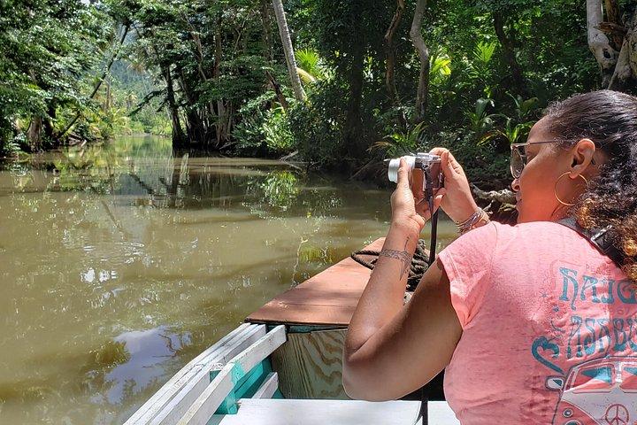 Indian River, Cold Soufriere & Fort Shirley (Northern Excursion)