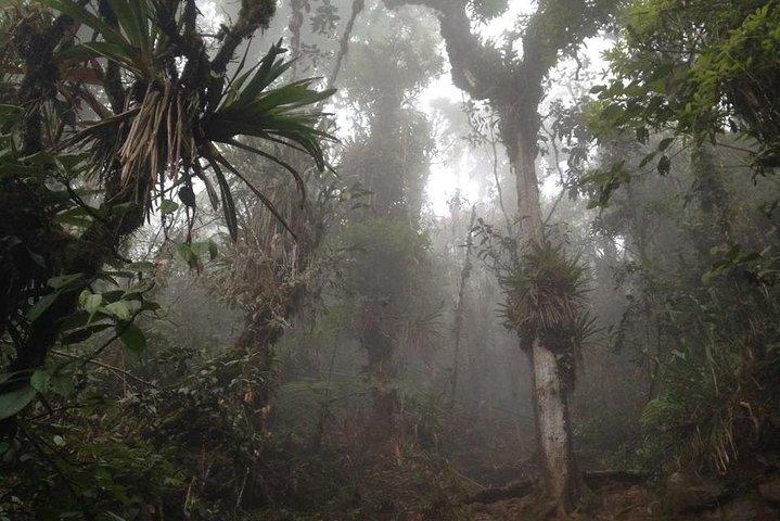 Trekking to Pico de Loro